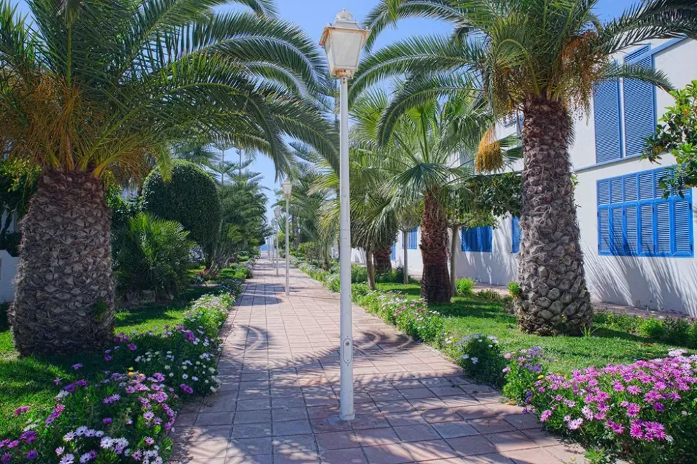 El Ayuntamiento de Níjar exige explicaciones y soluciones urgentes ante los reiterados cortes de suministro eléctrico