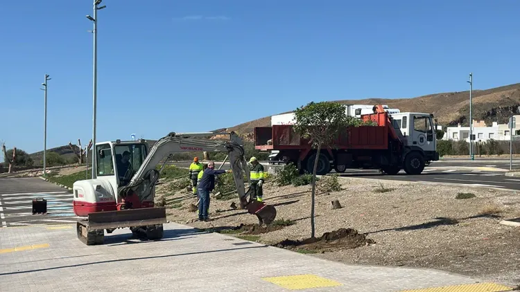 Comienza el embellecimiento de espacios públicos de Níjar con árboles y plantas ornamentales procedentes del Vivero Provincial