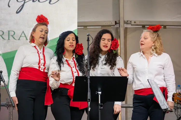 El gobierno de Níjar agradece la implicación de las asociaciones en el 28F y el carnaval